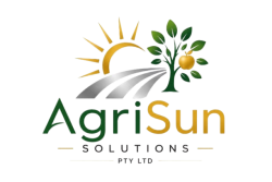 logo transparent