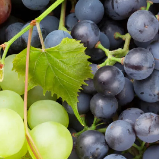 grapes